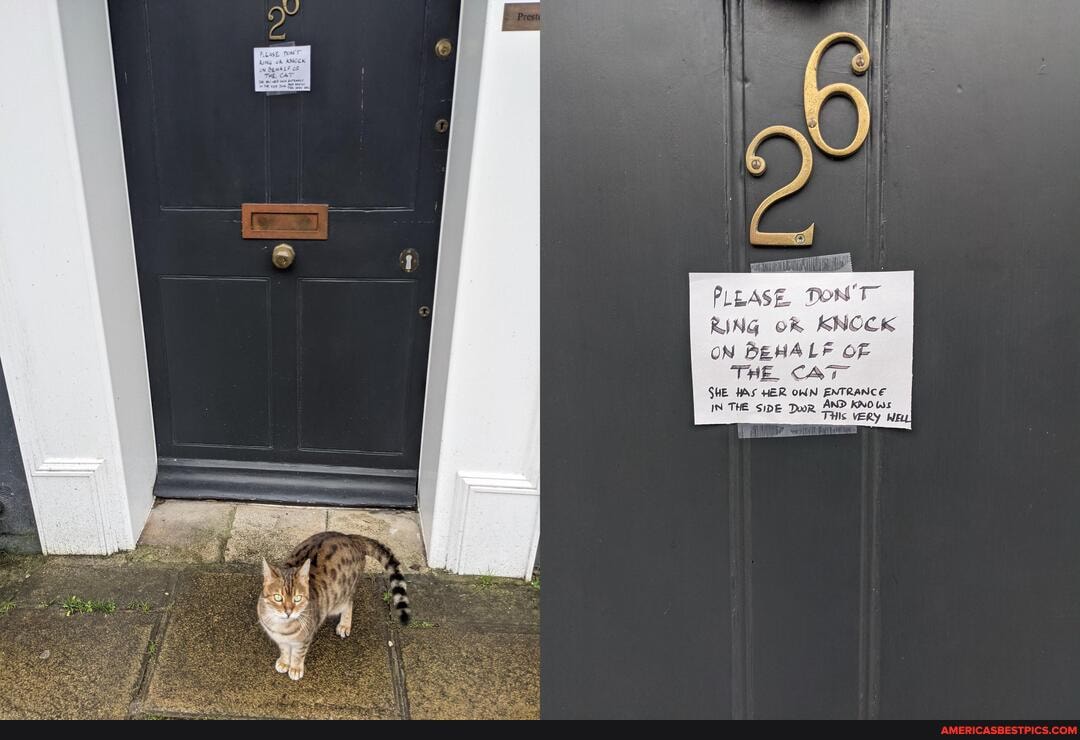 PLEASE, DON'T"
RING of& KNOCK
ON BEHALF OF THE CAT
SHE HAS HER OWN ENTRANCE
IN THE AND KNO Ws