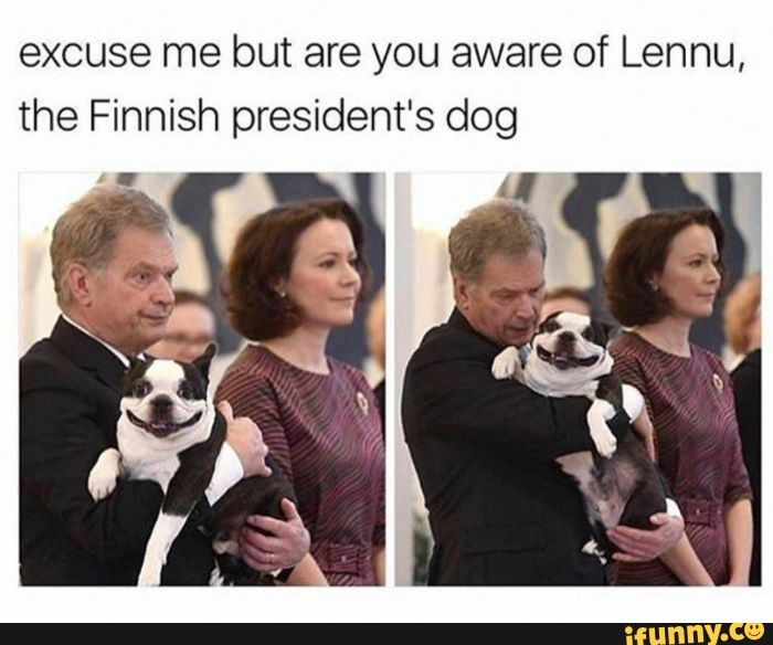 excuse me but are you aware of Lennu, the Finnish president's dog