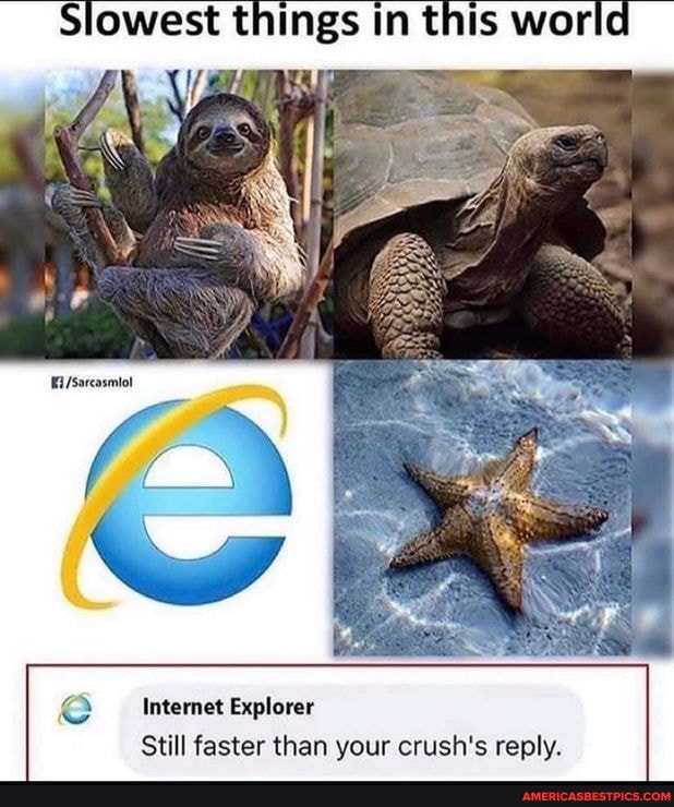 Slowest tings this worlel
Internet Explorer
Still faster than your crush's reply.