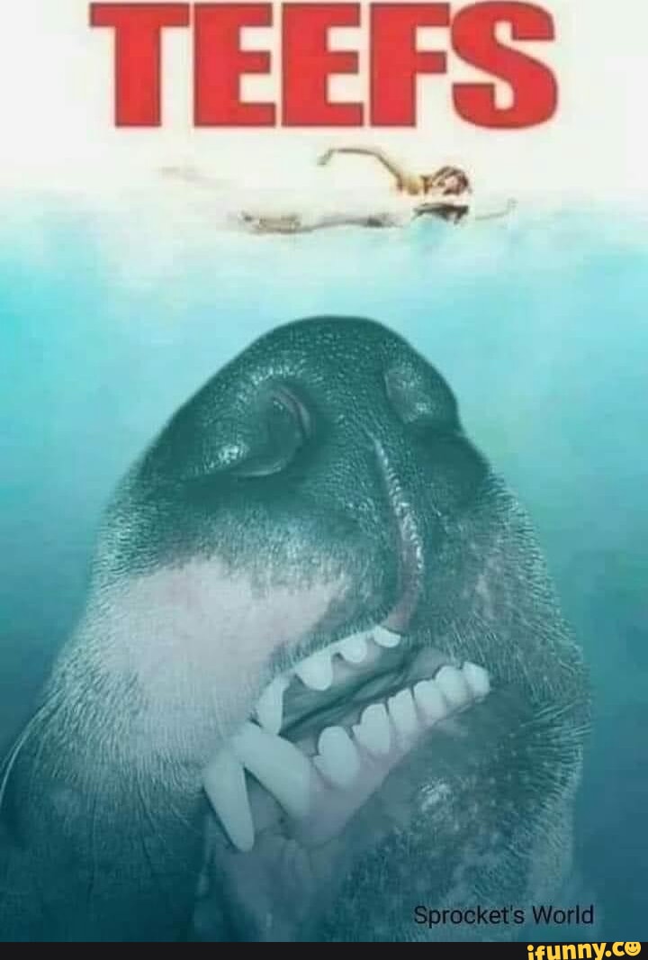 Sprockets memes. Best Collection of funny Sprockets pictures on iFunny