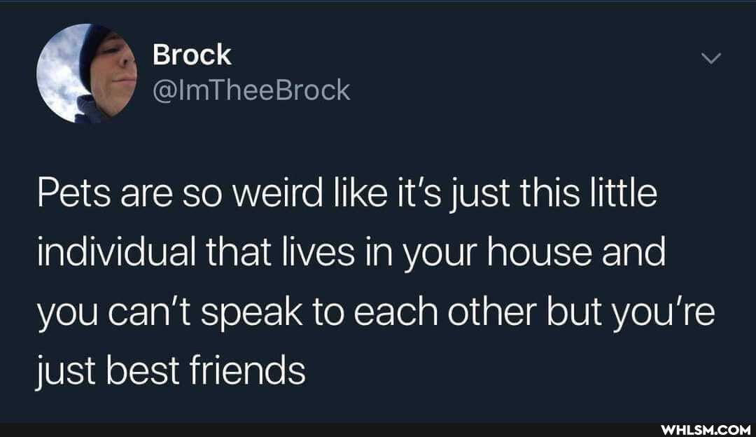 Brock
@ImTheeBrock
Pets are so weird like it's just this little individual that lives in your house and
you can't speak to each other but you're just best friends