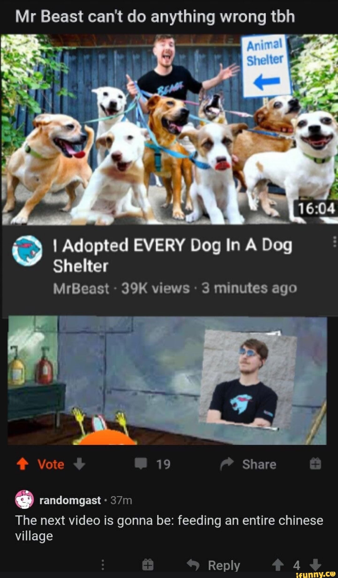 Mr Beast Can't Do Anything Wrong Tbh Pd O I Adopted EVERY Dog In A Dog