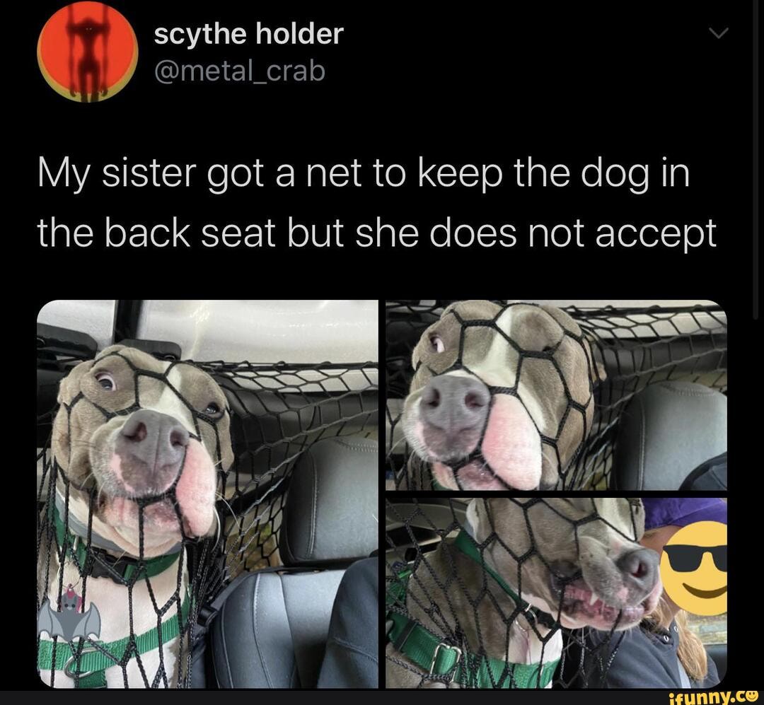 scythe holder
@metal_crab
My sister got a net to keep the dog in the back seat but she does not accept