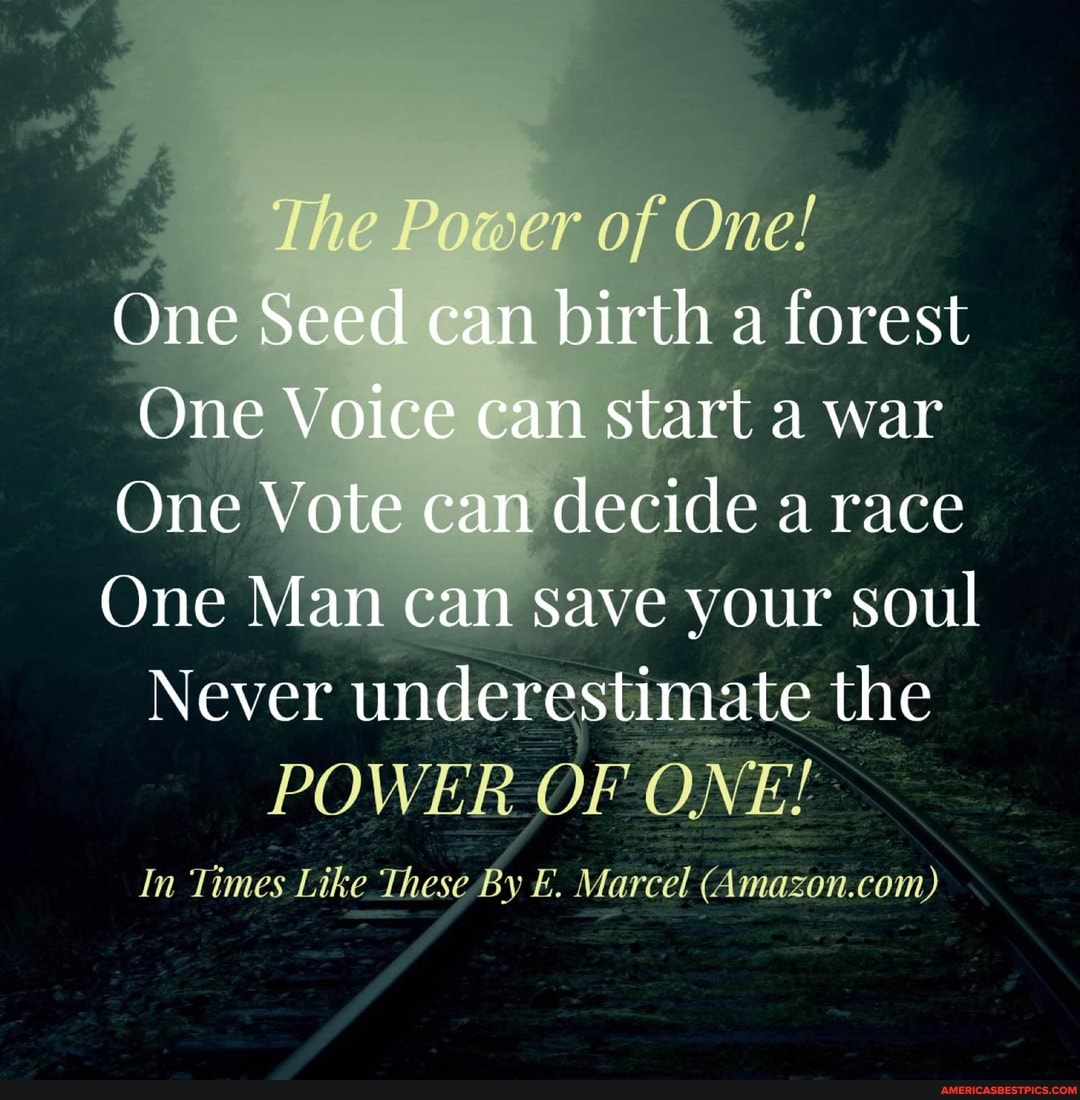 The P wer of One!
One Seed can birth a forest
One Voice can start a war
One Vote can decide a race
One Man can save your soul
Never underestimate the
In Times Like These By E. Marcel (Amaxon.com)