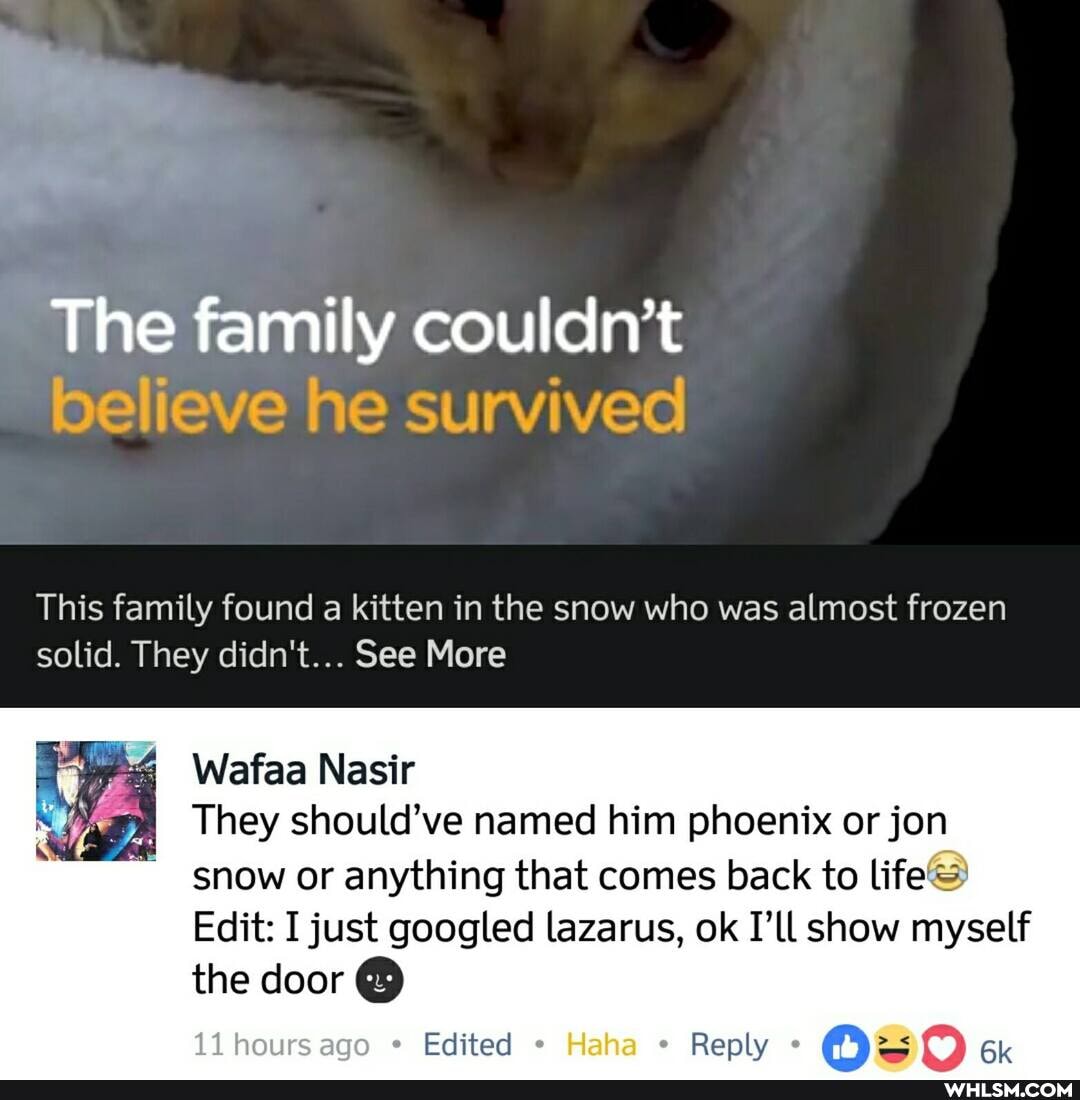The family couldn't believe he survived
This family found a kitten in the snow who was almost frozen solid. They didn't... See More
Wafaa Nasir
They should've named him phoenix or jon snow or anything that comes back to life@
Edit: I just googled lazarus, ok I'll show myself the door
Edited
11 hour
