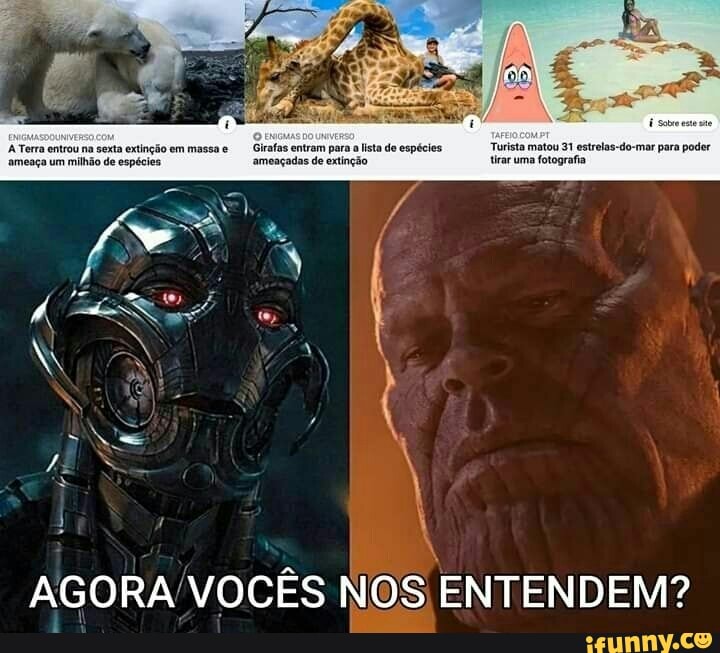 AGORA VOCÊS NOS ENTENDEM?
