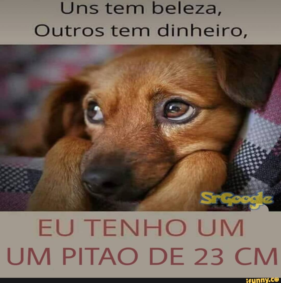 Uns tem beleza,
Outros tem dinheiro,
EU TENHO UM
UM PITÃO DE 23 CM