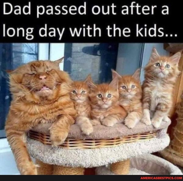 Dad passed out after a long day with the kids...
