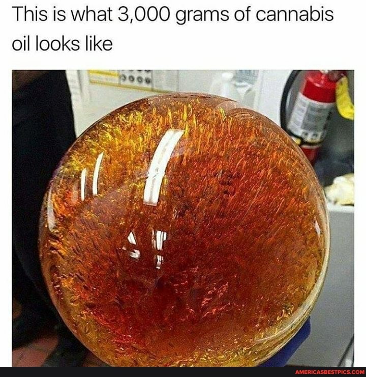 This is what 3,000 grams of cannabis oil looks like