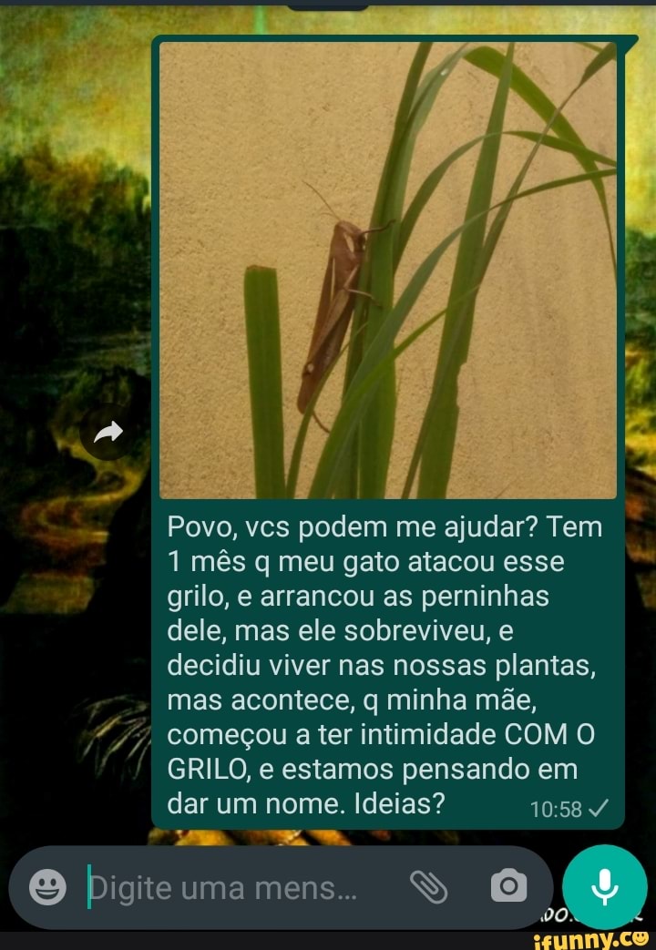 q
Povo, vcs podem me ajudar? Tem
1 mês q meu gato atacou esse
grilo, e arrancou as perninhas
dele, mas ele sobreviveu, e
decidiu viver nas nossas plantas,
mas acontece, q minha mãe,
"7; começou a ter intimidade COM O
GRILO, e estamos pensando em
dar um nome. Ideias? 10:58