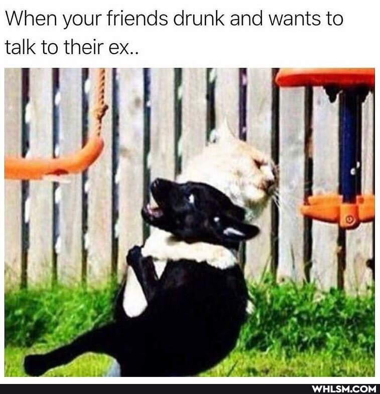 When your friends drunk and wants to talk to their ex..