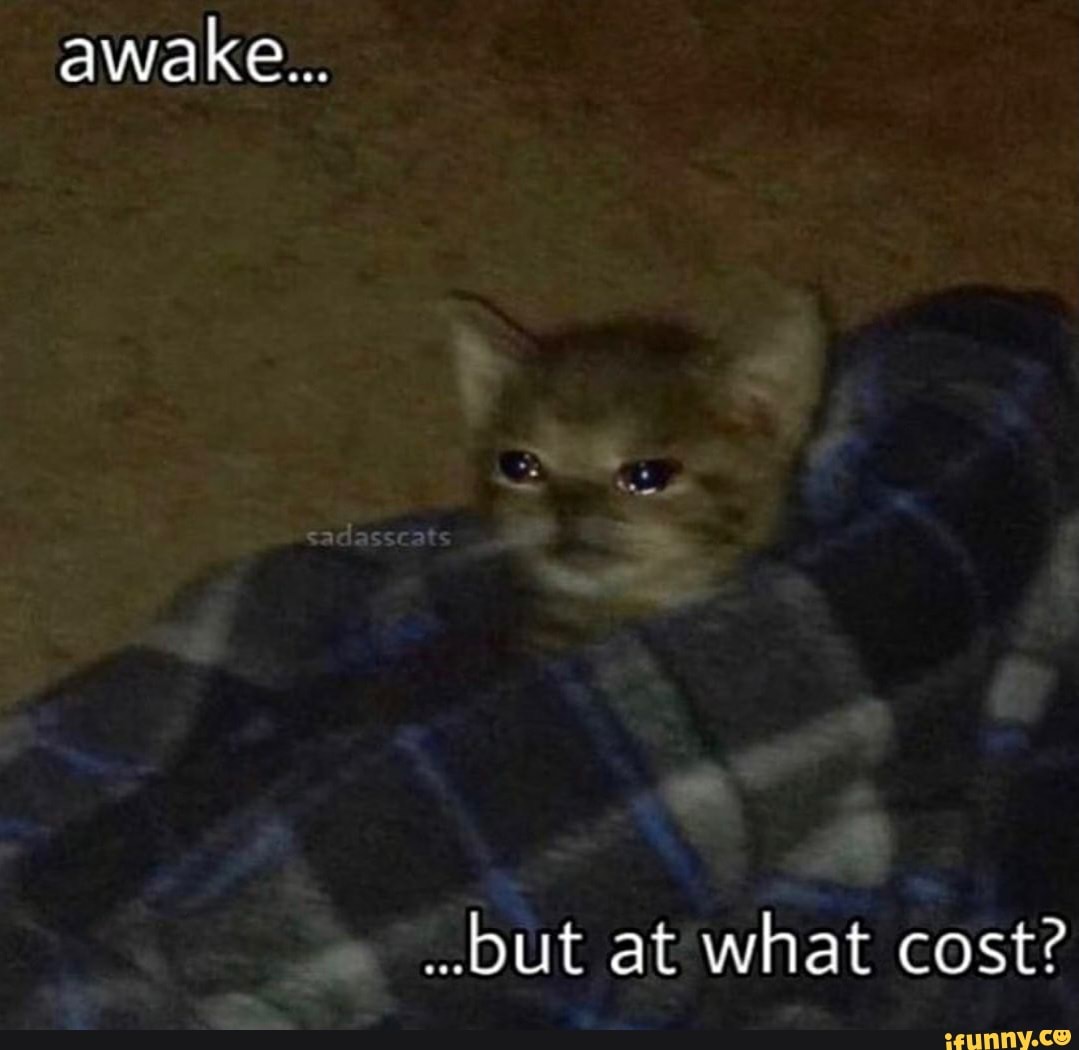 Awake... ..but at what cost? - iFunny