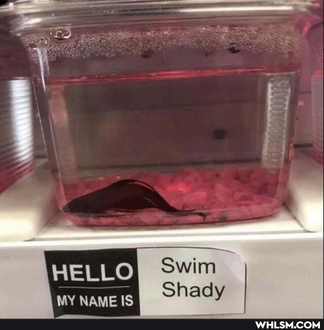 HELLO
MY NAME IS