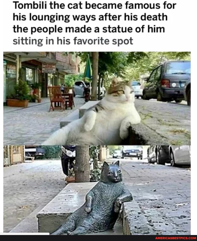 Tombili the cat became famous for his lounging ways after his death the people made a statue of him sitting in his favorite spot
ax