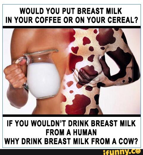 Milk cow titty 