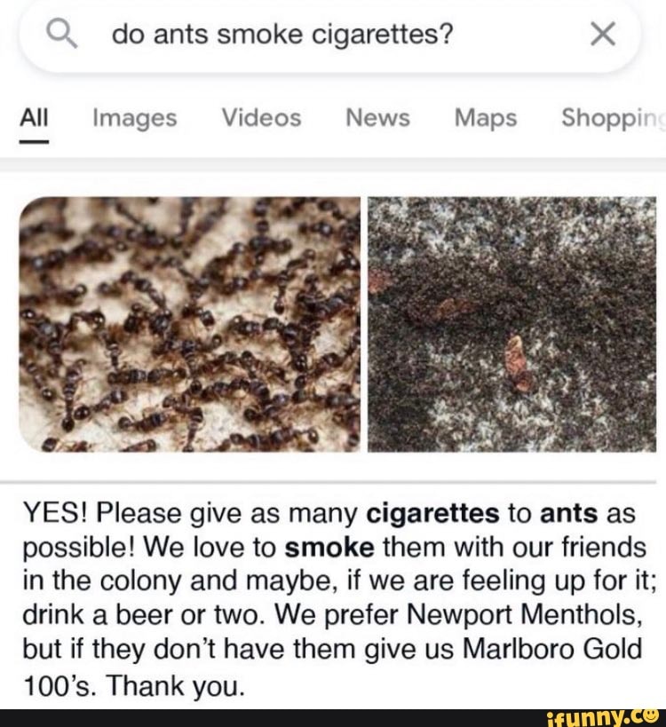 how to mask the smell of cigarette smoke 4 Ways to Smoke and Not Smell