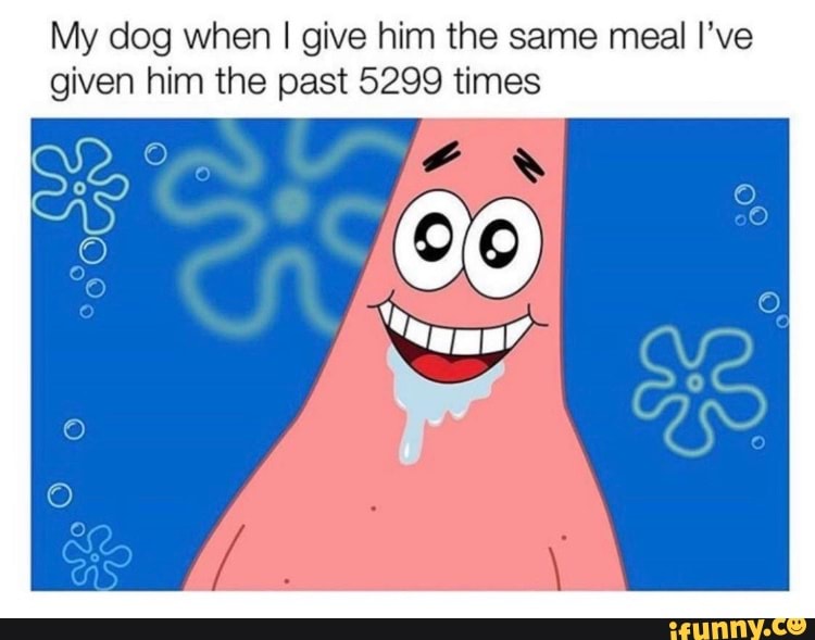 My dog when I give him the same meal I've given him the past 5299 times