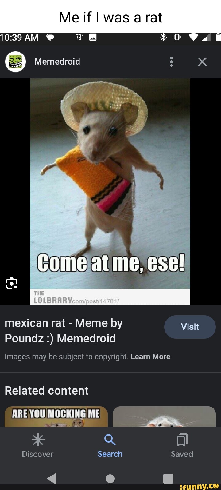 Me If I Was A Rat Memedroid X Mexican Rat - Meme By Visit Poundz 