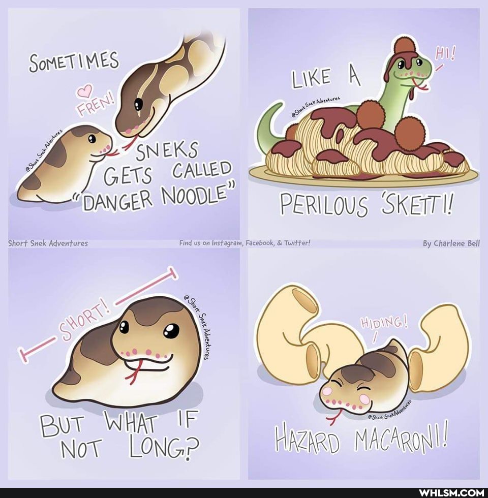 SomtET MES
ae 4 vf VG ci cauen nd aman
"DANGER NOODLE PERILOUS SK
Short Snek Adventures Find us on Instagram, Facebook, & Twitter! By Charlene Bell
WH IF Not TONG? Hazken MACARoNI!