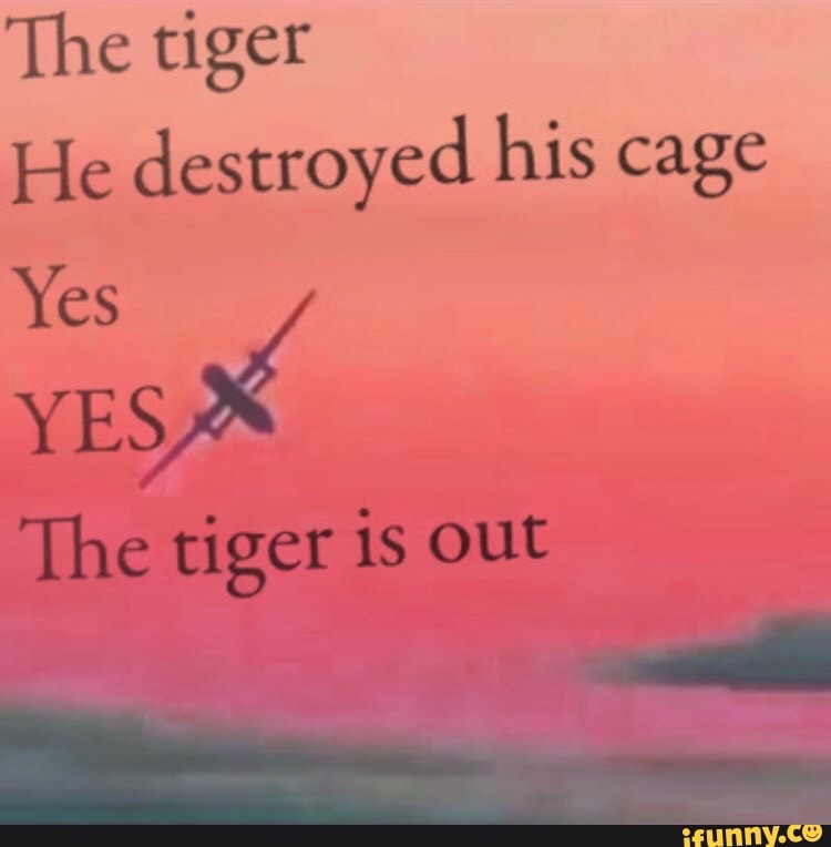 The tiger Yes He destroyed his cage The tiger is out iFunny