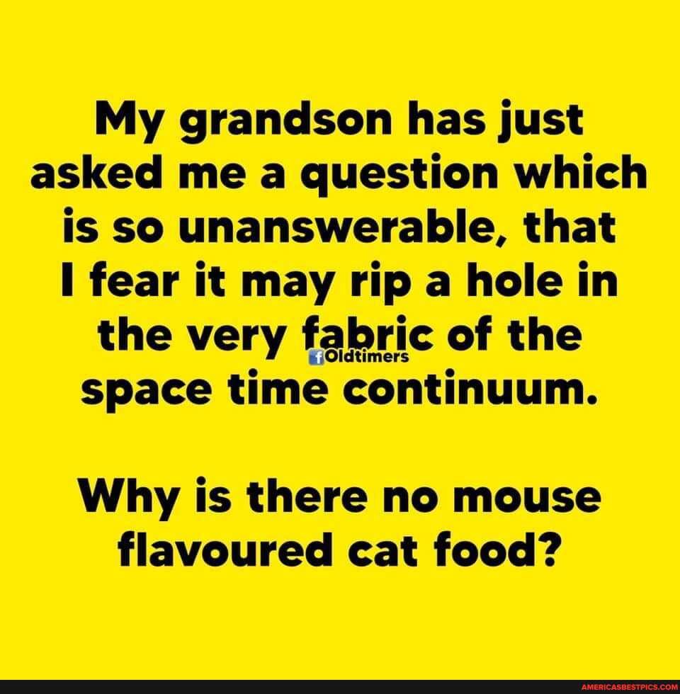 My grandson has just asked me a question which is so unanswerable, that fear it may rip a hole in the very fabric of the
space time continuum.
Why is there no mouse flavoured cat food?