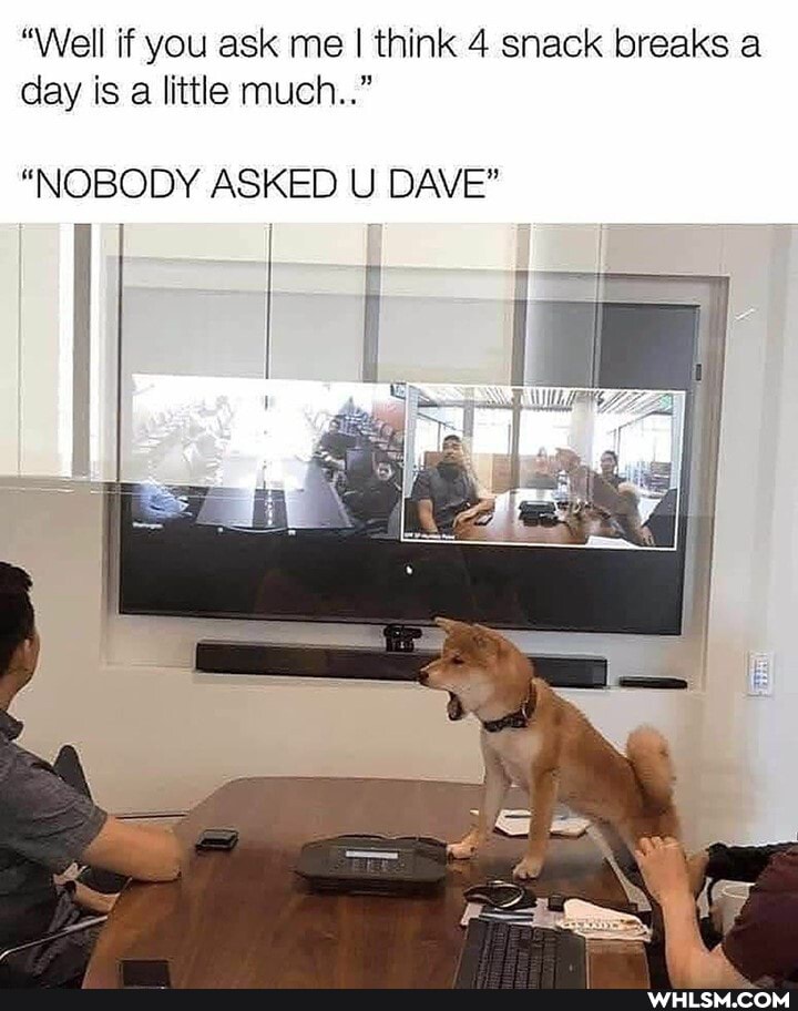 "Well if you ask me I think 4 snack breaks a day is a little much.."
"NOBODY ASKED U DAVE"