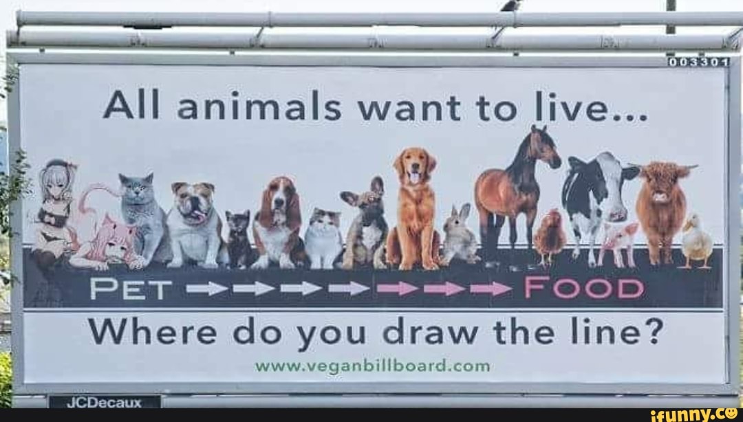 where-do-you-draw-the-line-www-veganbillboard-com-ifunny