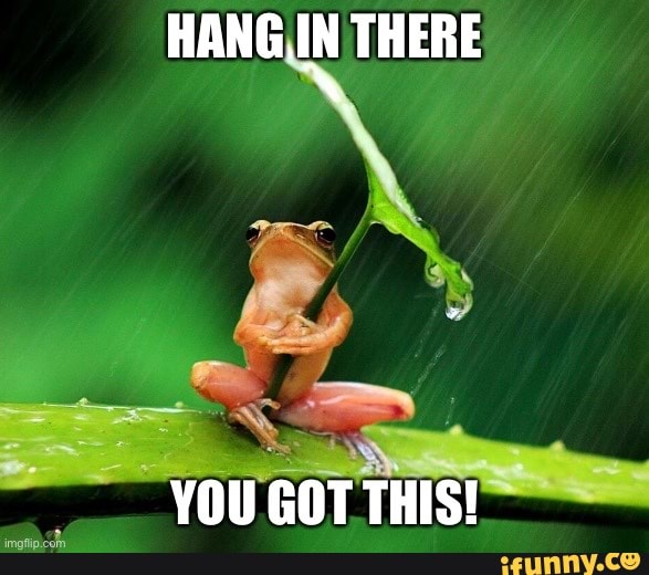 HANG IN THERE YOU GOT THIS 