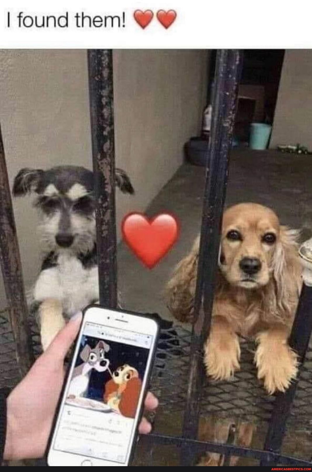 I found them! OC