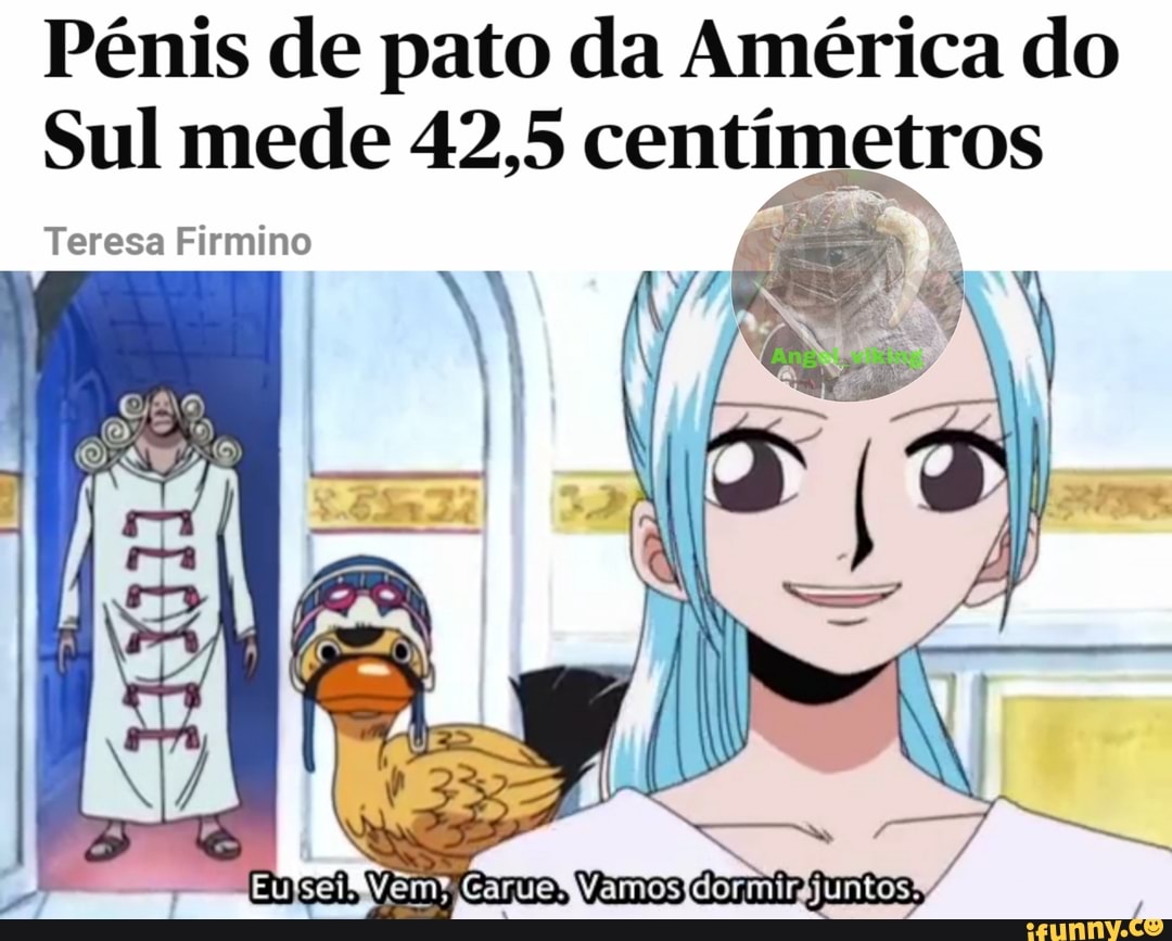 Pénis de pato da América do
Sul mede 42,5 centímetros
Teresa Firmino