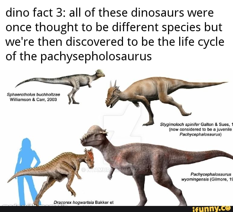 Dino fact 3: all of these dinosaurs were once thought to be different ...