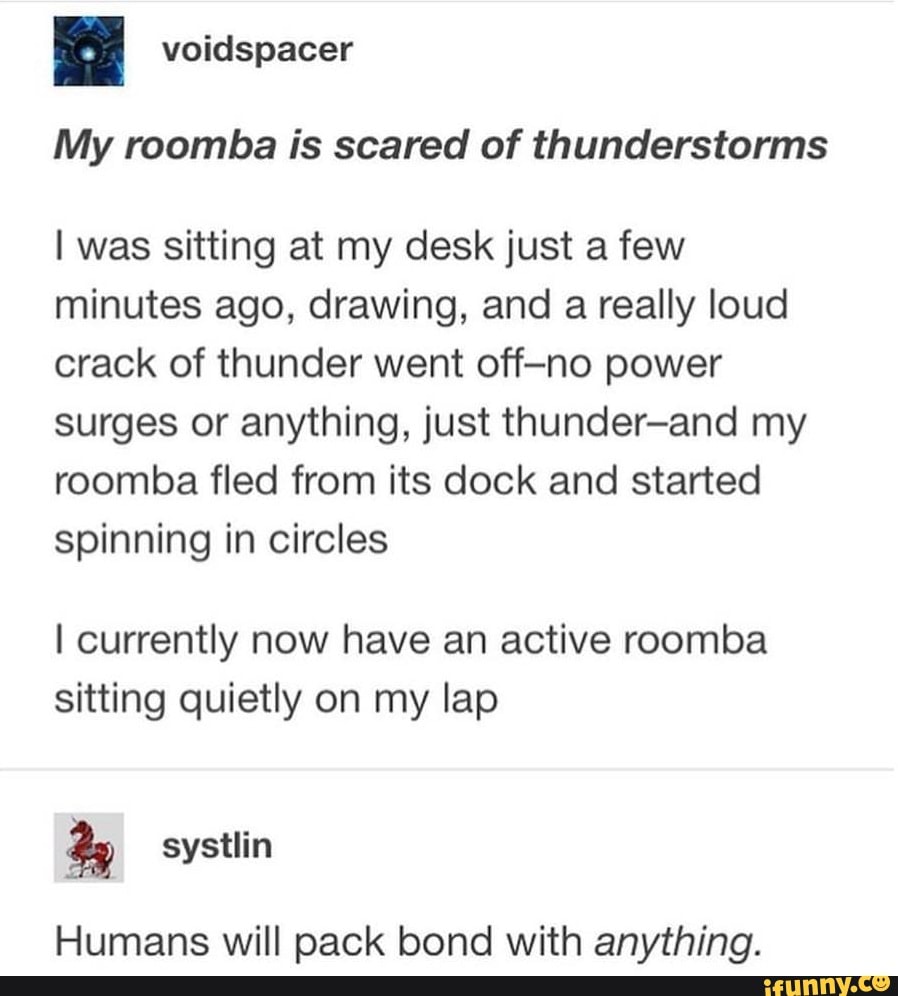 Hahah ) My roomba is scared of thunderstorms I was sitting at my