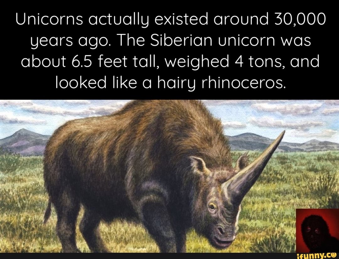 Unicorns actually existed around 30,000 years ago. The Siberian unicorn was about 6.5 feet tall