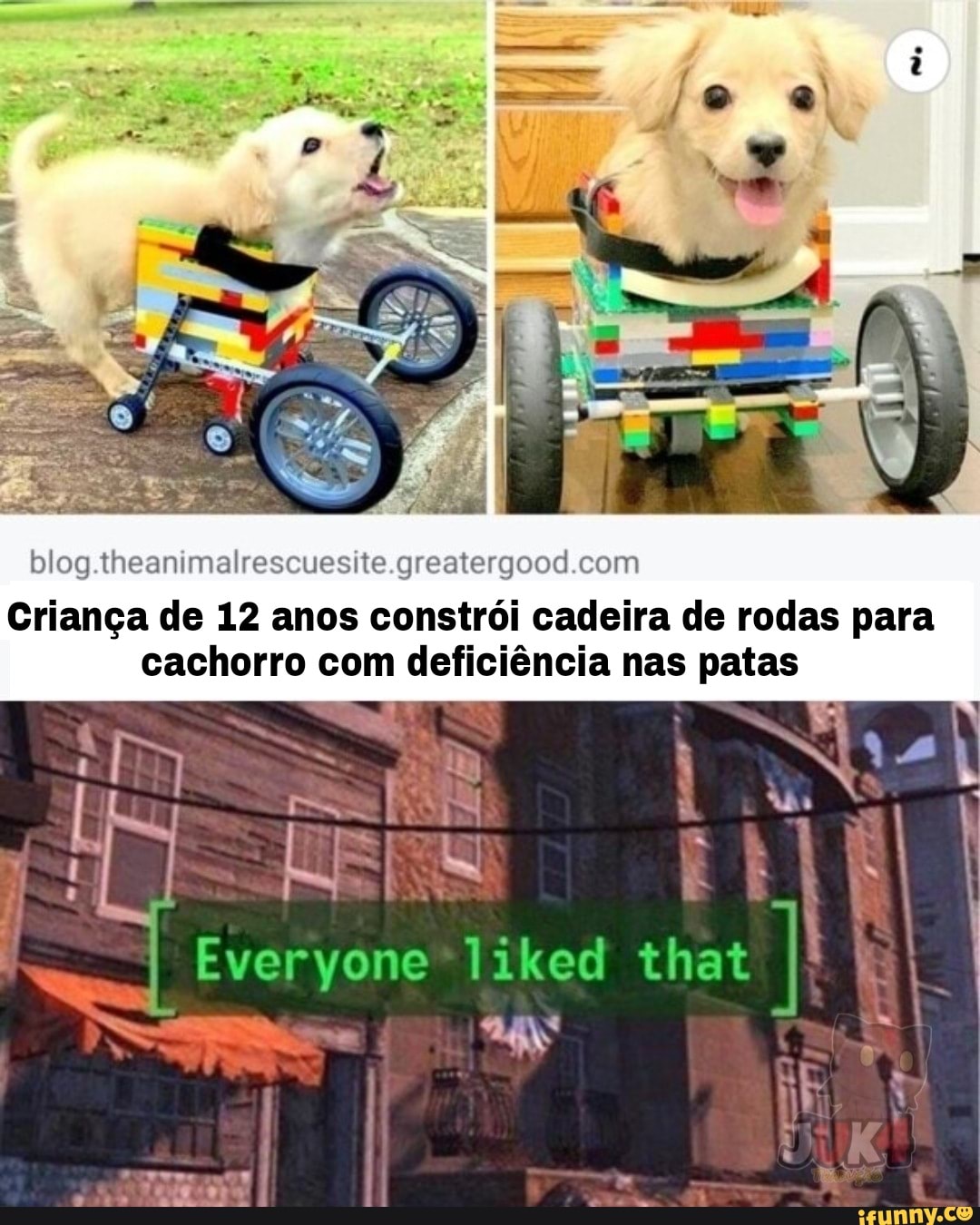 blog.theanimalrescuesite.greate
Criança de 12 anos constrói cadeira de rodas para cachorro com deficiência nas patas
Everyone liked that
