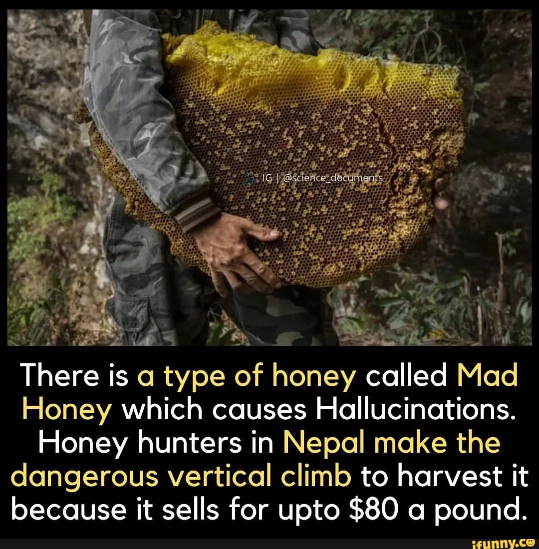 There is a type of honey called Mad Honey which causes Hallucinations
