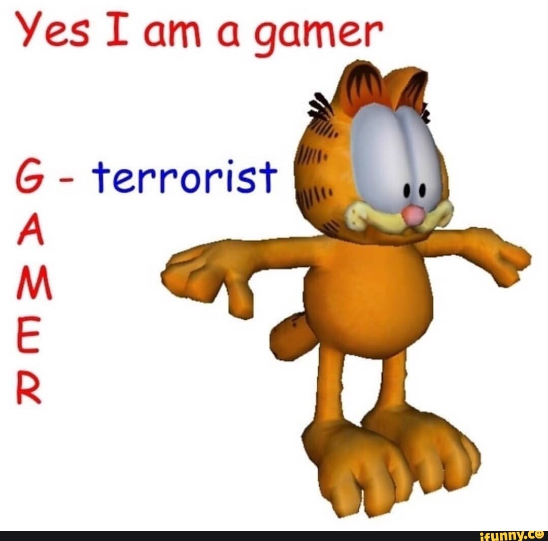 Yes i am. Yes i'm Gamer. Yes im Gamer g terrorist. Gamer terrorist meme.