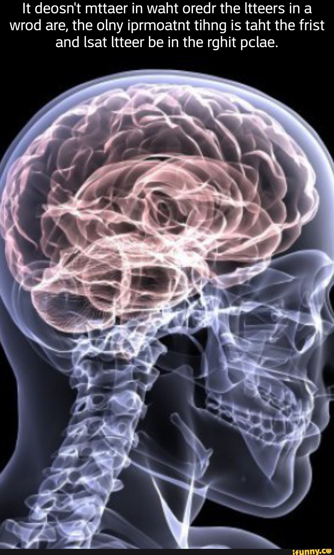 Maggot brain. Вибрации мозга. Человеческий мозг и его возможности.