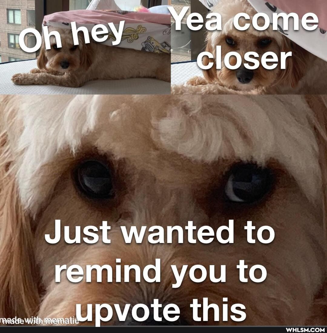 on hey Yea come closer closer
Just wanted to remind you to tpvote this