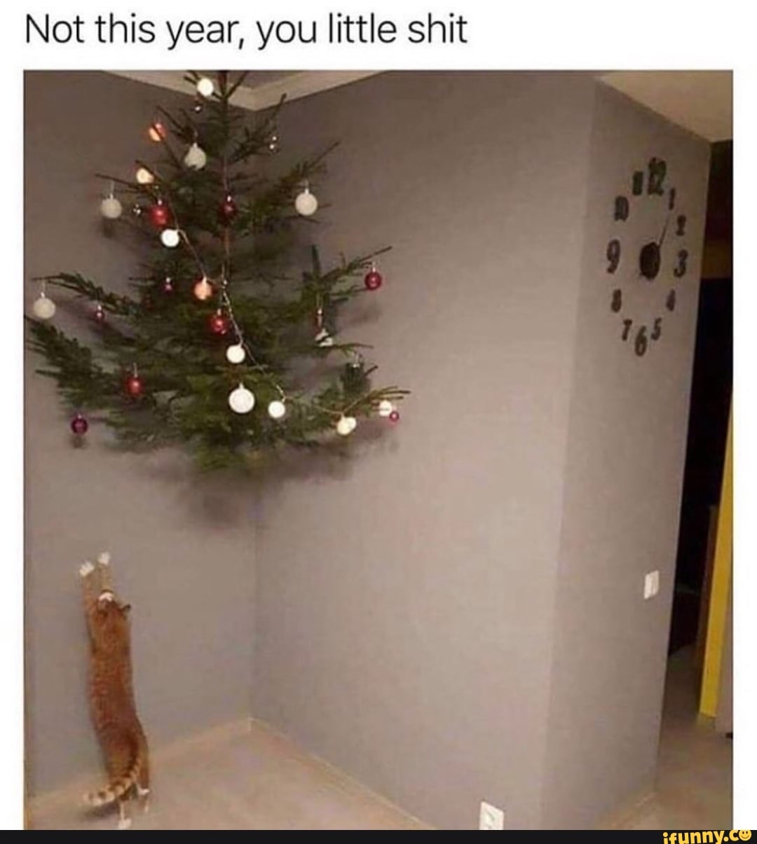 Not this year, you little shit
Os