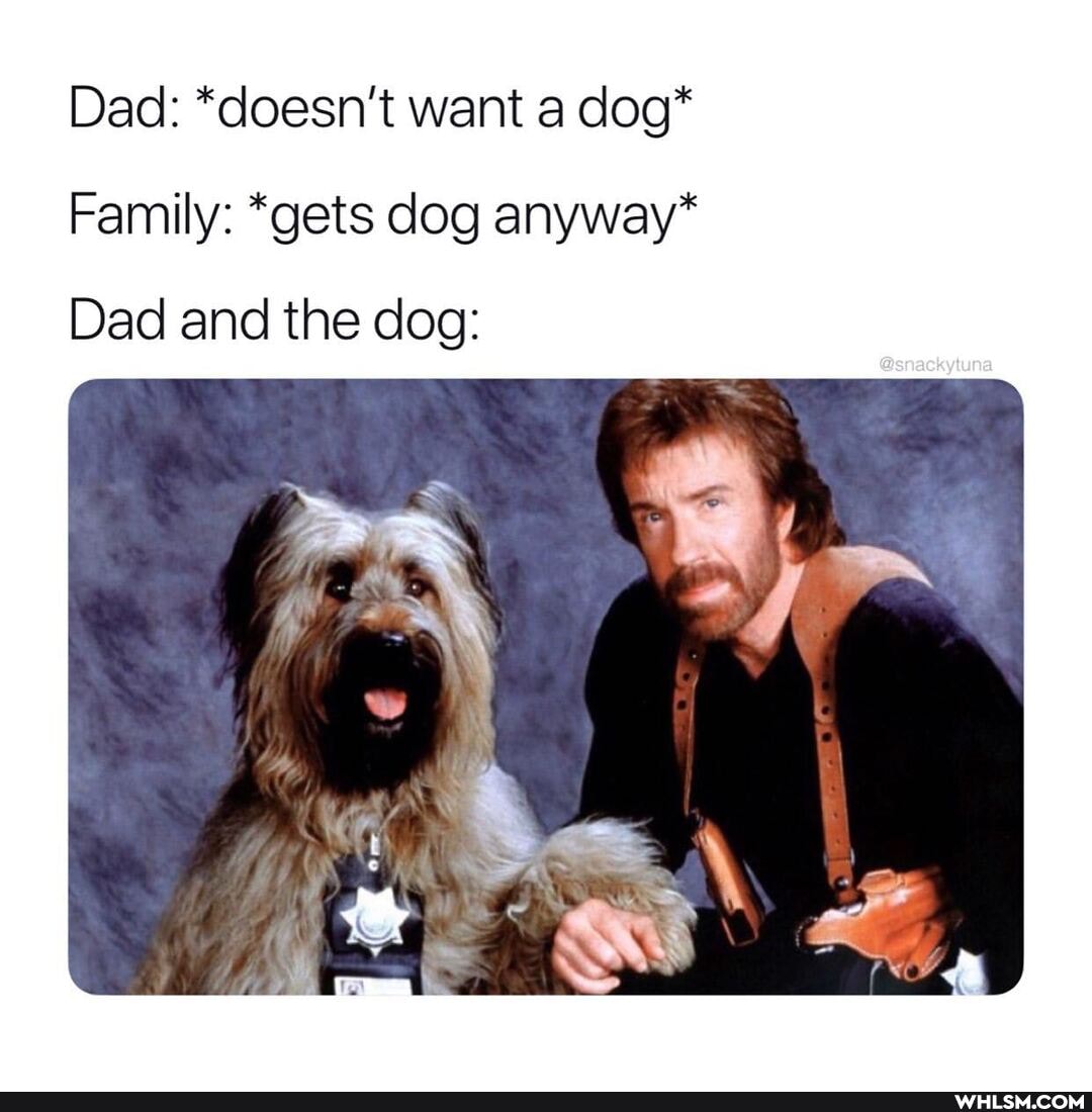Dad: *doesn't want a dog*
Family: *gets dog anyway*
Dad and the dog:
aX