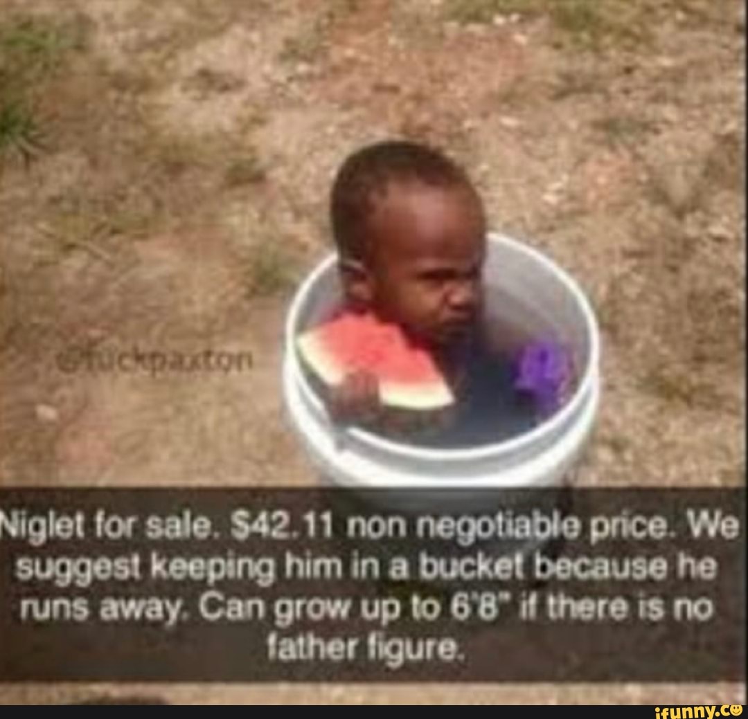 Iglet for sale. 42.11 non negotiable price. We suggest keeping him in