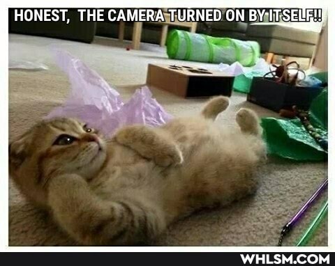 HONEST, THE CAMERA TURNED ON BY-ITSELE!:
