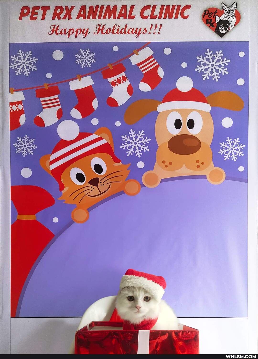 PET RX ANIMAL CLINIC