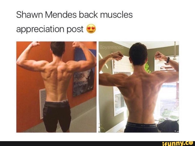 Shawn Mendes Back Muscles Appreciation Post W Ifunny