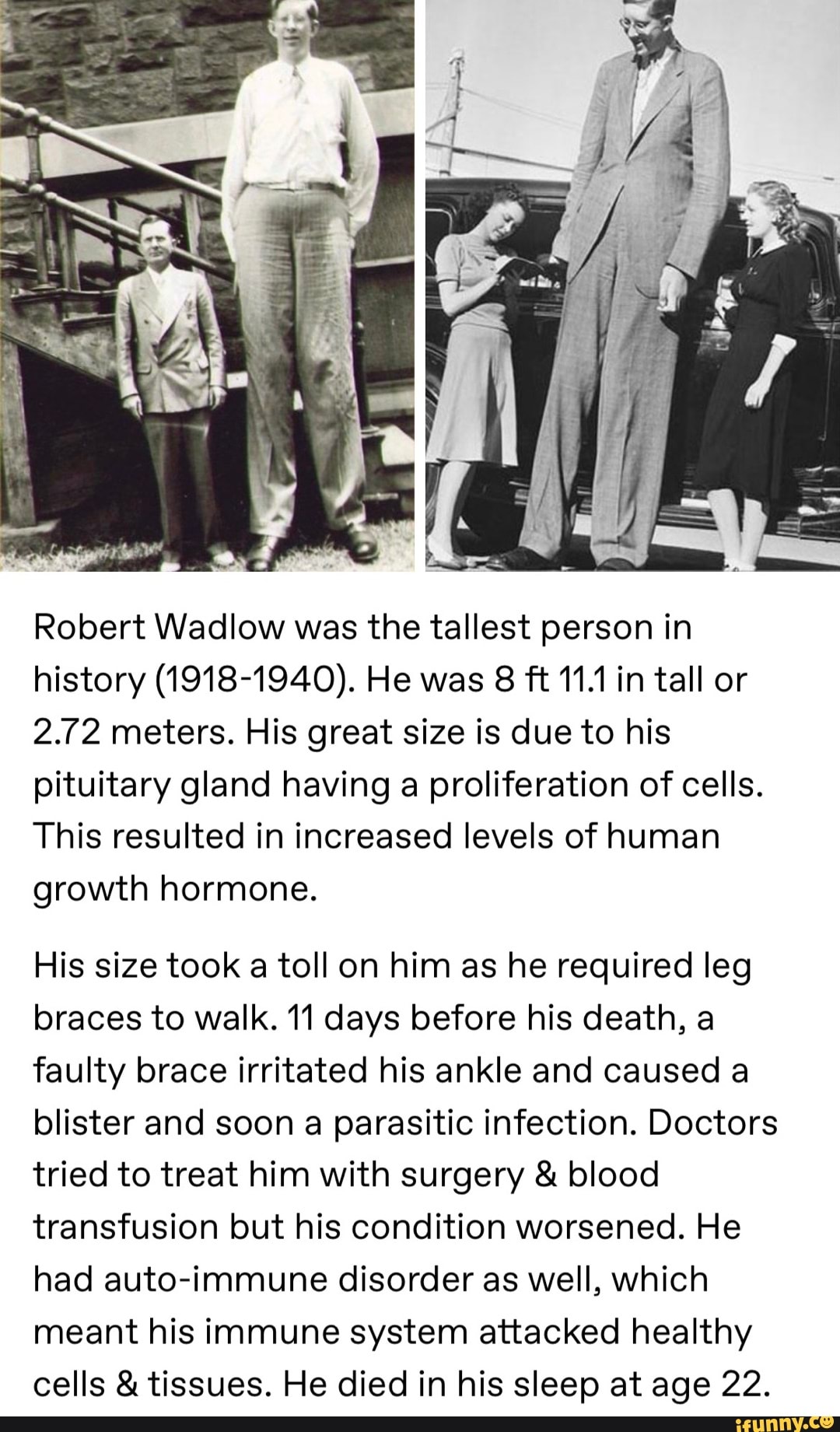 Robert Wadlow was the tallest person in history (19181940). He was 8