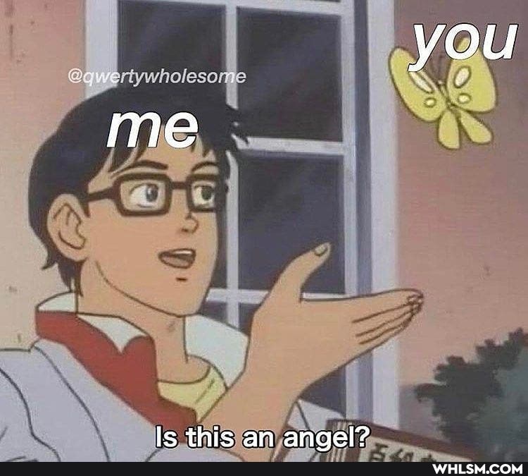 Is this an anael?
you