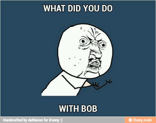 WHAT DID YOU DO
WITH BOB