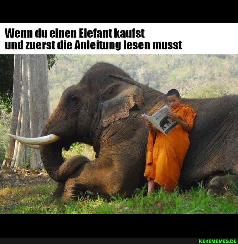 Wenn du einen Elefant kaufst und zuerst die Anleitung lesen musst
