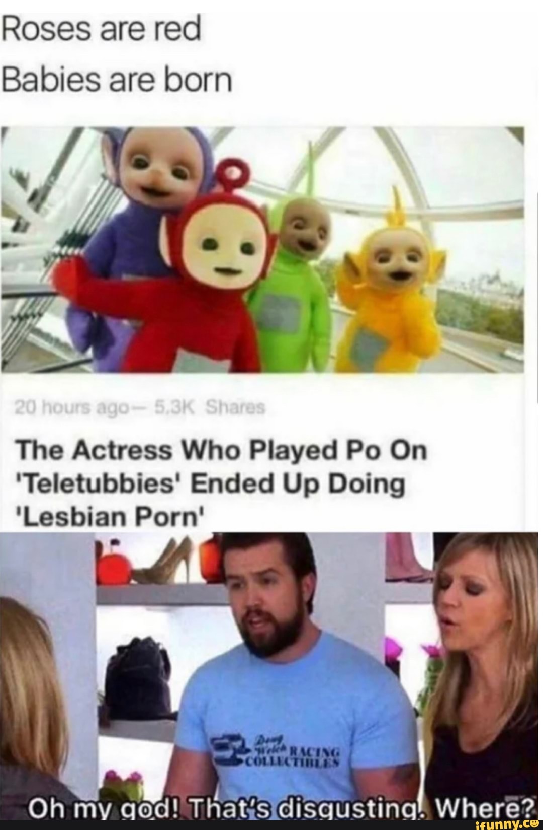 Roses are red Babies are born The Actress Who Played Po On 'Teletubbies'  Ended Up Doing 'Lesbian Porn' Oh Where? - iFunny :)
