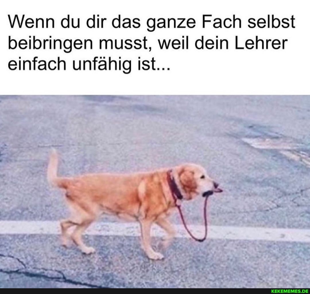 Wenn du dir das ganze Fach selbst beibringen musst, weil dein Lehrer
einfach unfähig ist...